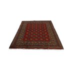 Orientální koberec Aqcha Bukhara 150x196 ručně vázaný afghánský koberec