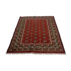 Orientální koberec Aqcha Bukhara 123x178 ručně vázaný koberec