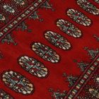 Běhoun koberec Mauri 79x355 koberec do obýváku, koberec do ložnice