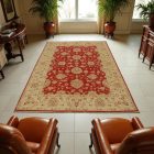 Zieglerr vlněný koberec 170x237 koberec do obýváku, koberec do ložnice