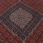 Velký koberec Tabriz 245x355 ručně vázaný perský koberec do obýváku