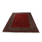 Pákistánský koberec červený Jaldar 156x248 ručně vázaný orientální koberec