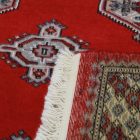 Pákistánský koberec Bukhara 153x245 ručně vázaný orientální koberec