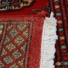 Běhoun koberec Bukhara 61x181 Pákistánský koberec do chodby