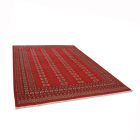 Pákistánský koberec Bukhara 220x297 ručně vázaný orientální koberec