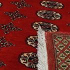 Pákistánský koberec Bukhara 220x297 ručně vázaný orientální koberec